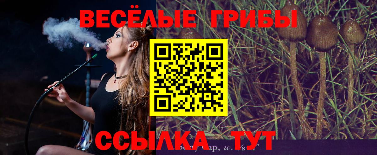 Псилоцибиновые грибы Psilocybine cubensis Воронеж